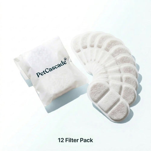 6-Month Supply • 12 Filters