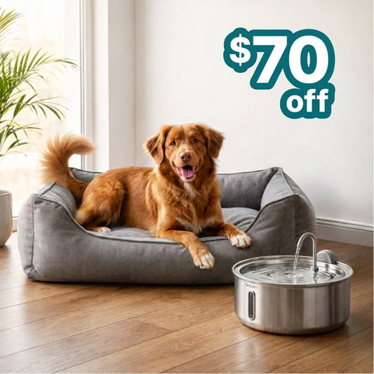 PetCascade™ Water Fountain- Non-Wireless