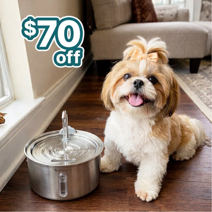 PetCascade™ Water Fountain- Non-Wireless
