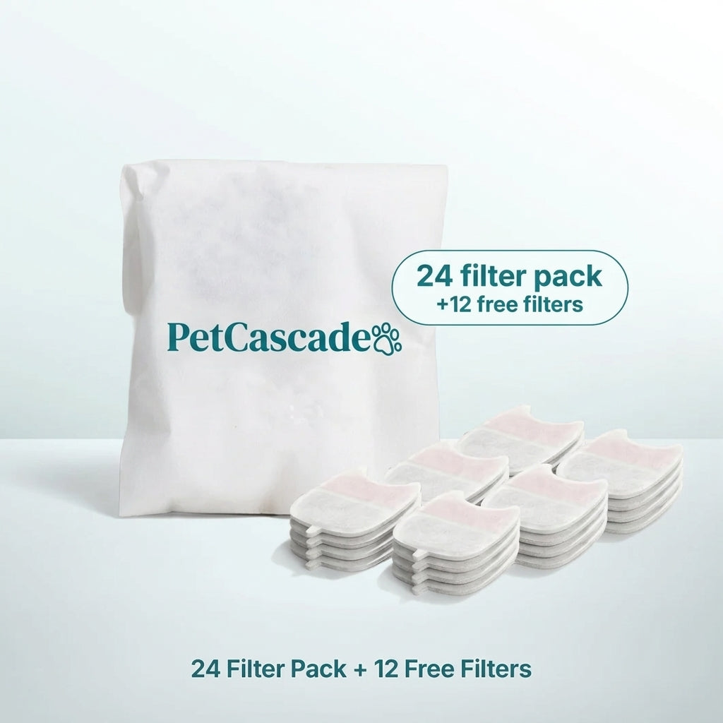 Wireless Fountain Filters - The Year Supply