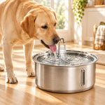 PetCascade™ Pet Fountain